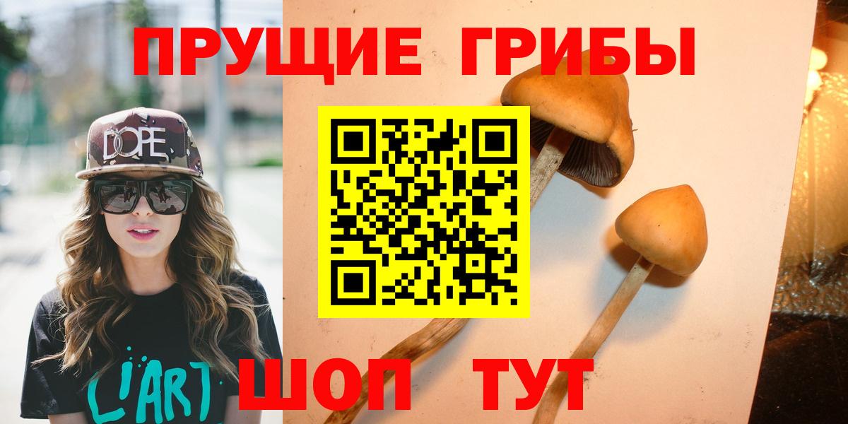 Галлюциногенные грибы Psilocybine cubensis  Вход с VPN  Выкса 